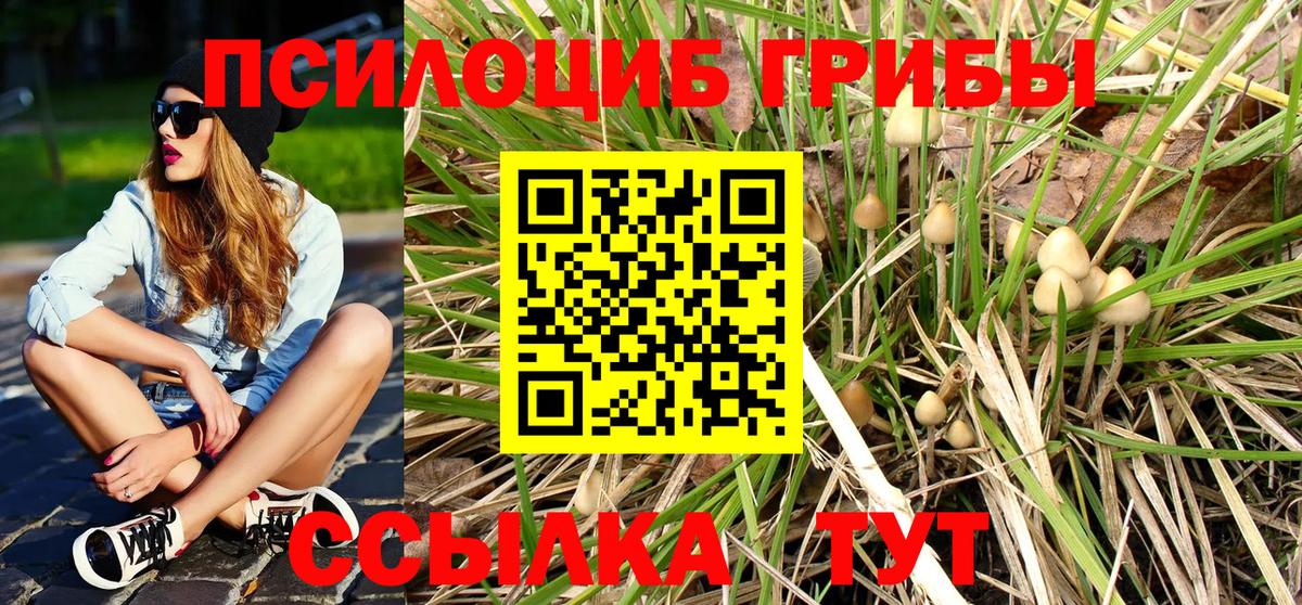 Галлюциногенные грибы прущие грибы Саранск