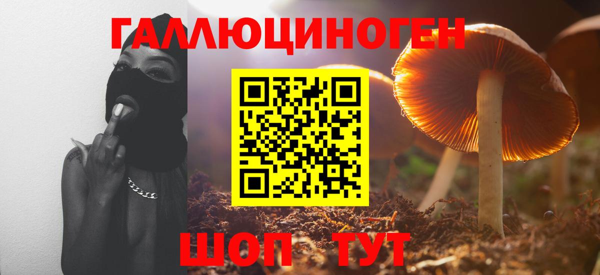 Саранск  Галлюциногенные грибы мухоморы  Галлюциногенные грибы мухоморы  Вход с VPN 